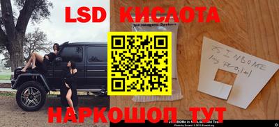 прущие грибы Обь