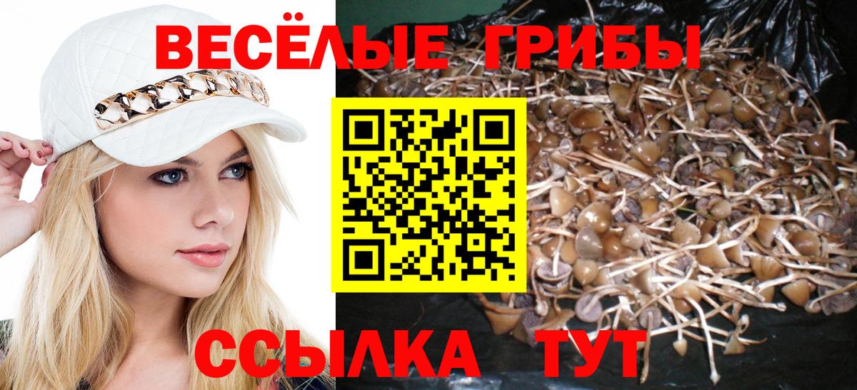 Шарыпово  Псилоцибиновые грибы ЛСД  Галлюциногенные грибы ЛСД  где найти   Вход с VPN 