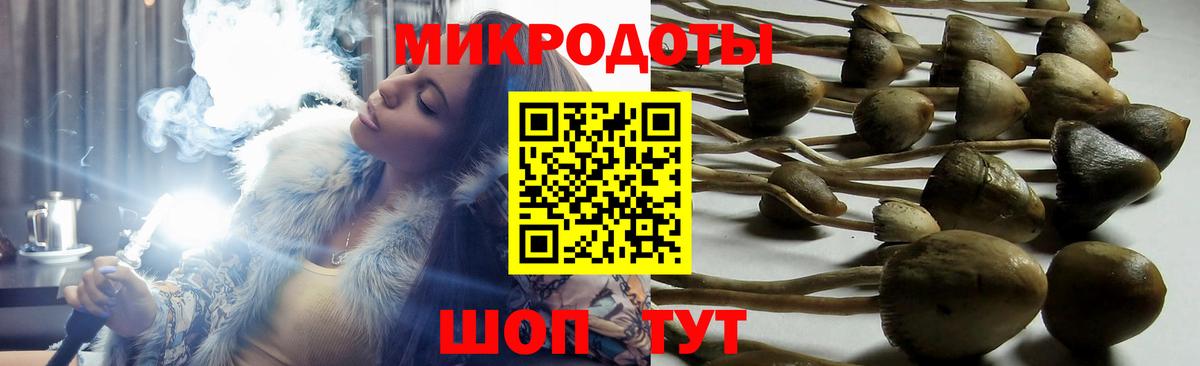 Псилоцибиновые грибы Psilocybine cubensis Шарыпово