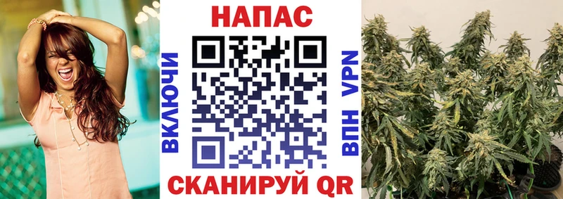 Канабис VHQ  цены   Шарыпово 